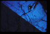 CRAT_07_05