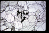 CRAT_07_14