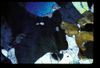CRAT_07_17