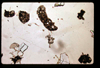 lu2001_01_01