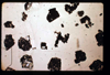 lu2001_01_08