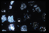 lu2001_01_09