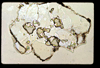 lu2001_01_10