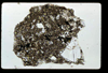lu2001_01_16