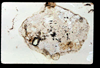 lu2001_01_18