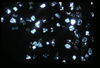 lu2001_02_04