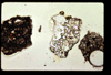 lu2001_02_05