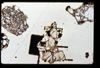 lu2001_02_09