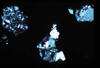 lu2001_02_10
