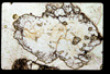 lu2001_03_01