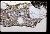 lu2001_03_08