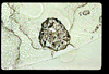 lu2001_04_01