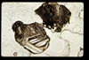 lu2001_04_03