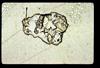 lu2001_04_04