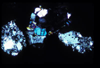 lu2001_04_07