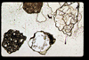 lu2001_04_08