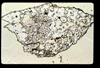 lu2001_04_13