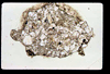 lu2001_04_18