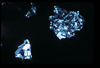 lu2001_04_20