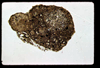 lu2001_05_09