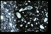 MISC_01_02