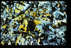 MISC_01_06