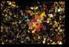 MISC_01_13