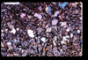 ap1202_13_07