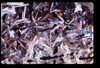 ap1202_13_11