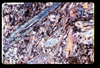ap1202_13_12