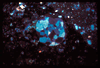 ap1406_14_03