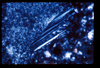 ap1406_14_04