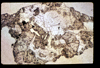 ap1506_15_16