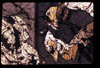 ap1506_15_18