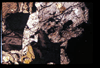 ap1506_15_19
