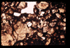 ap1506_15_20
