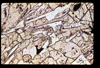 ap1506_16_01