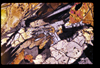 ap1506_16_02