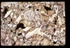 ap1506_16_13