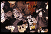 ap1506_16_19