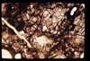 ap1506_17_01