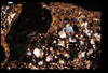 ap1506_17_04