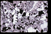 ap1705_01_01