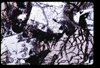 ap1705_01_05