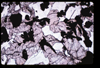 ap1705_01_07