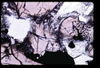 ap1705_01_10