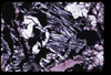 ap1705_01_14