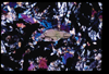 ap1705_01_15