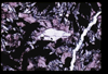 ap1705_01_16