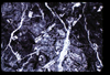 ap1705_01_18